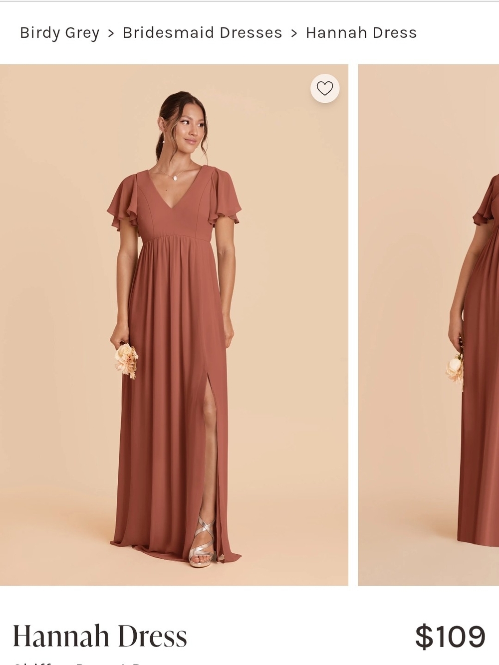 Birdy Grey Hannah Dress in Chiffon Desert Rose NWT